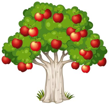 Beyaz arkaplan resimlerinde izole edilmiş elma ağacı