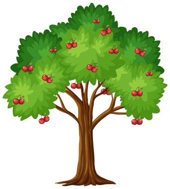 Beyaz arkaplanda izole edilmiş kiraz ağacı