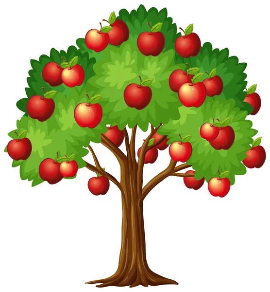 Apfelbaum Isoliert Auf Weißem Hintergrund Illustration — Stockvektor