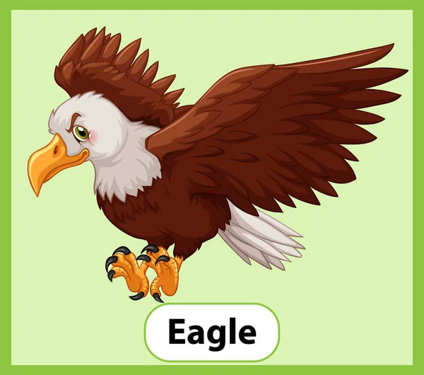 Educational English Word Card Eagle Illustration — Stock Vector