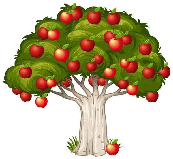 Rote Äpfel Auf Einem Baum Isoliert Auf Weißem Hintergrund Illustration — Stockvektor