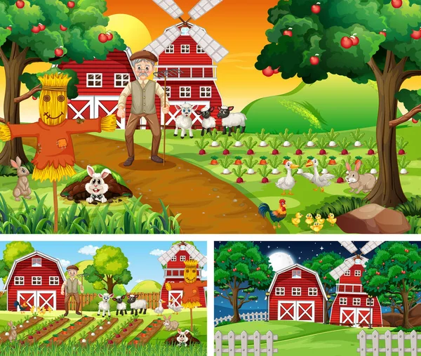 Set Farm Scenes Different Times Illustration — Stock Vector