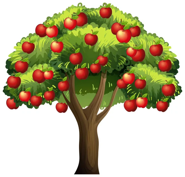 Een Appelboom Geïsoleerd Witte Achtergrond Illustratie — Stockvector
