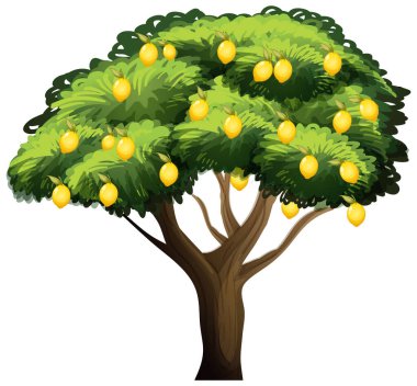 Beyaz arkaplan resimlerinde izole edilmiş limon ağacı