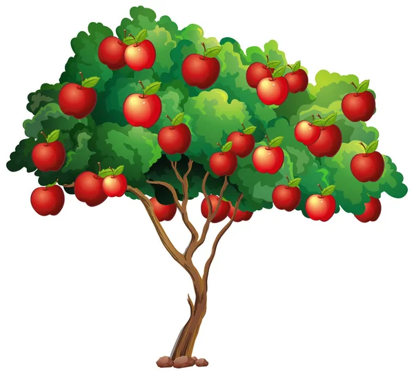 Rote Äpfel Auf Einem Baum Isoliert Auf Weißem Hintergrund Illustration — Stockvektor