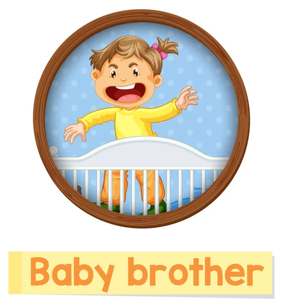 Educational English Word Card Baby Brother Illustration — Stock Vector