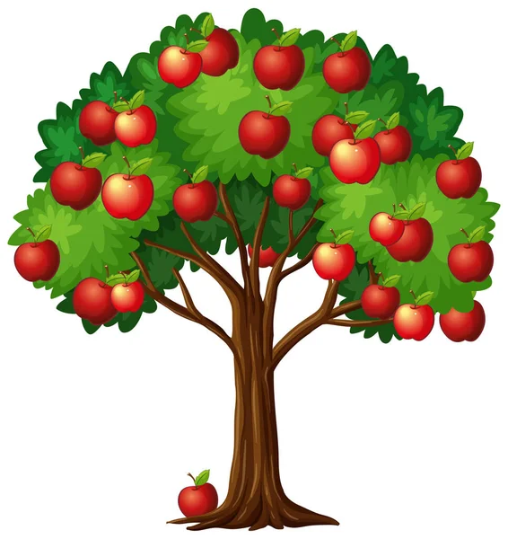 Nombreuses Pommes Rouges Sur Arbre Isolé Sur Fond Blanc Illustration — Image vectorielle