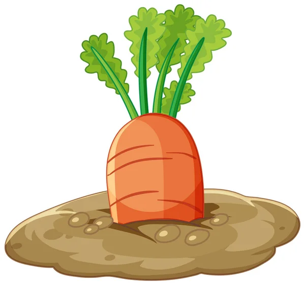 Karottenwurzel Boden Cartoon Stil Isolierte Illustration — Stockvektor