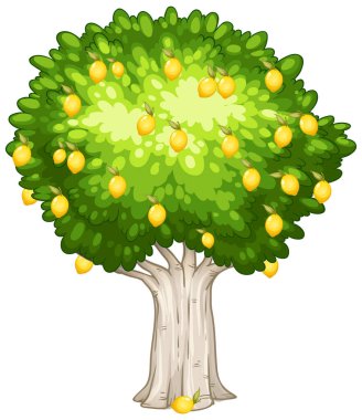 Beyaz arkaplan resimlerinde izole edilmiş limon ağacı