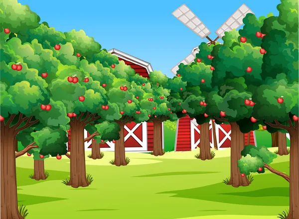 Boerderij Scène Met Veel Appelbomen Illustratie — Stockvector