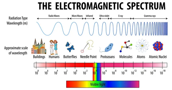 Wetenschap Elektromagnetische Spectrum Diagram Illustratie — Stockvector