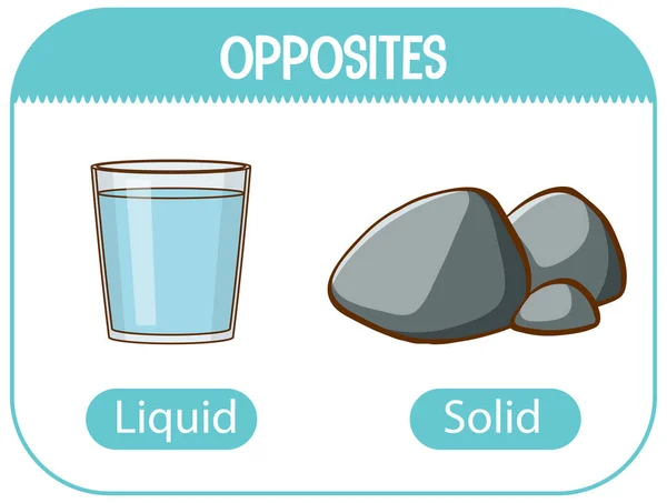 Mots Opposés Avec Illustration Liquide Solide — Image vectorielle