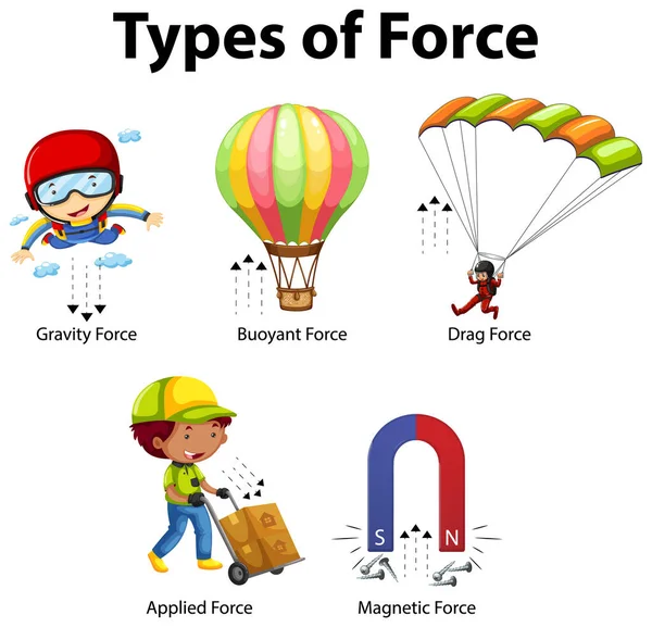 Tipos Força Para Crianças Física Ilustração Cartaz Educacional — Vetor de Stock