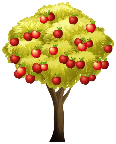 Apfelbaum Isoliert Auf Weißem Hintergrund Illustration — Stockvektor