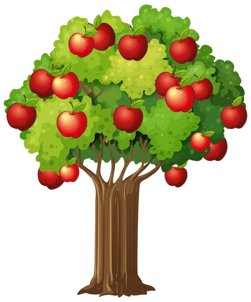 Apfelbaum Isoliert Auf Weißem Hintergrund Illustration — Stockvektor