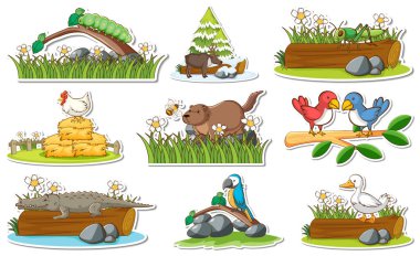 Farklı vahşi hayvanlar ve doğa elementlerinin resimleriyle etiketlenmiş.