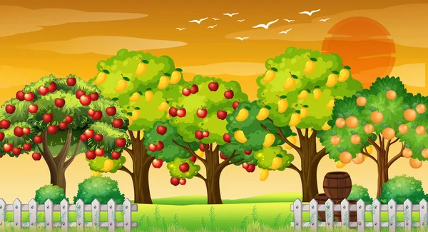 Farm Scene Many Different Fruits Trees Sunset Time Illustration Royalty Free Stock Vectors