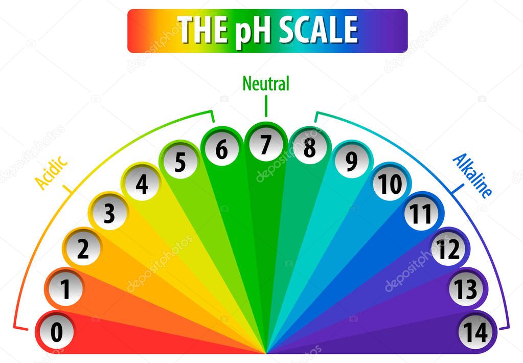A pH scale on white background illustration