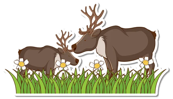 Two Moose Standing Grass Field Sticker Illustration — Stock Vector
