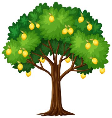 Beyaz arkaplan resimlerinde izole edilmiş limon ağacı