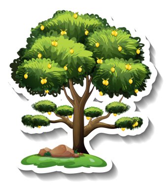 Beyaz arkaplan resimlerinde limon ağacı etiketi