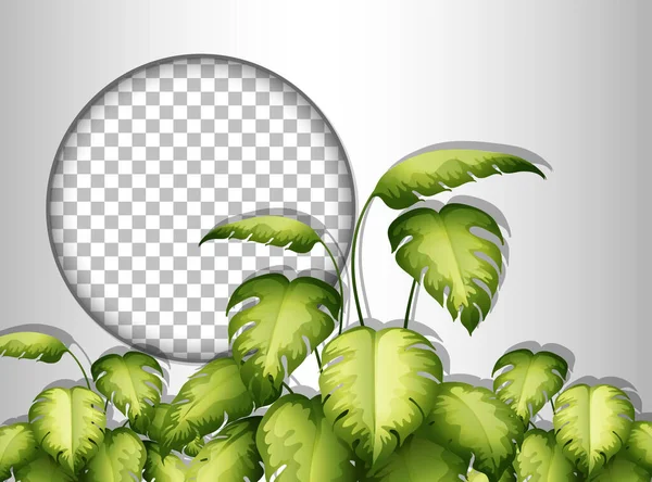 Cadre Rond Transparent Avec Illustration Modèle Feuilles Tropicales — Image vectorielle