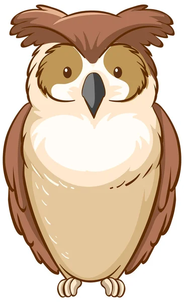 Owl Cartoon Style Isolated Illustration — Stock Vector