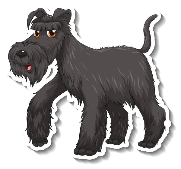 Siyah Schnauzer Köpek Resimli Çıkartma Tasarımı — Stok Vektör