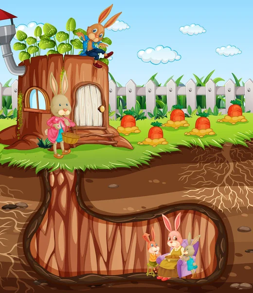 Trou Souterrain Lapin Avec Surface Sol Illustration Scène Jardin — Image vectorielle