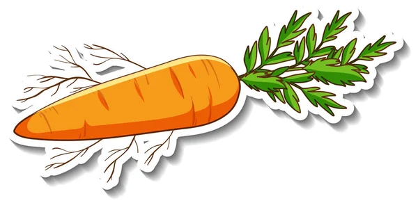 Шаблон Наклейки Изолированной Корневой Морковью — стоковый вектор