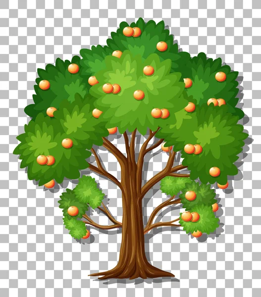 Arancio Albero Sfondo Trasparente Illustrazione — Vettoriale Stock