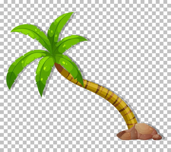 Palm Träd Transparent Bakgrund Illustration — Stock vektor