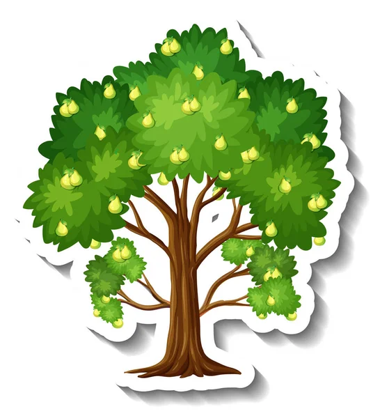 Päron Träd Klistermärke Vit Bakgrund Illustration — Stock vektor
