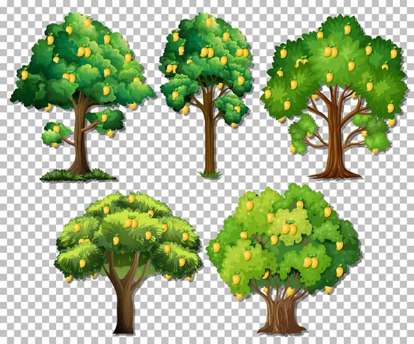 Set Verschiedener Bäume Auf Transparentem Hintergrund — Stockvektor