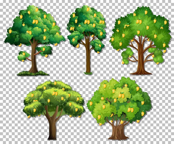 Set Alberi Diversi Sfondo Trasparente Illustrazione — Vettoriale Stock