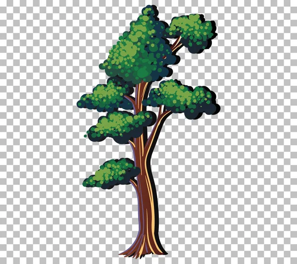 Ένα Δέντρο Πράσινα Φύλλα Διαφανές Φόντο Εικονογράφηση — Διανυσματικό Αρχείο