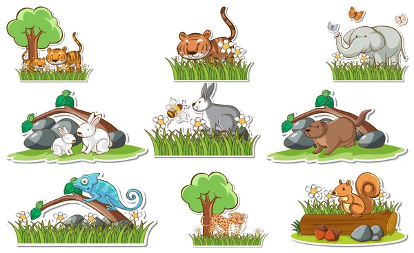 Conjunto Adesivos Com Diferentes Animais Selvagens Elementos Natureza Ilustração — Vetor de Stock