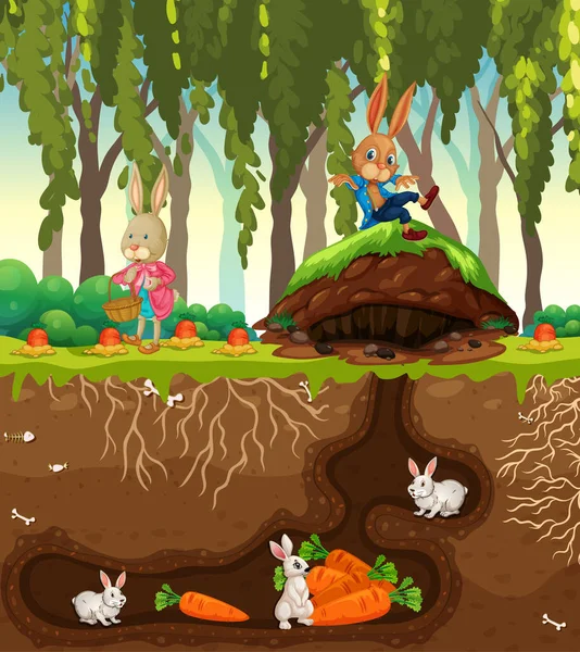 Underground Rabbit Hole Ground Surface Garden Scene Illustration — Stock Vector