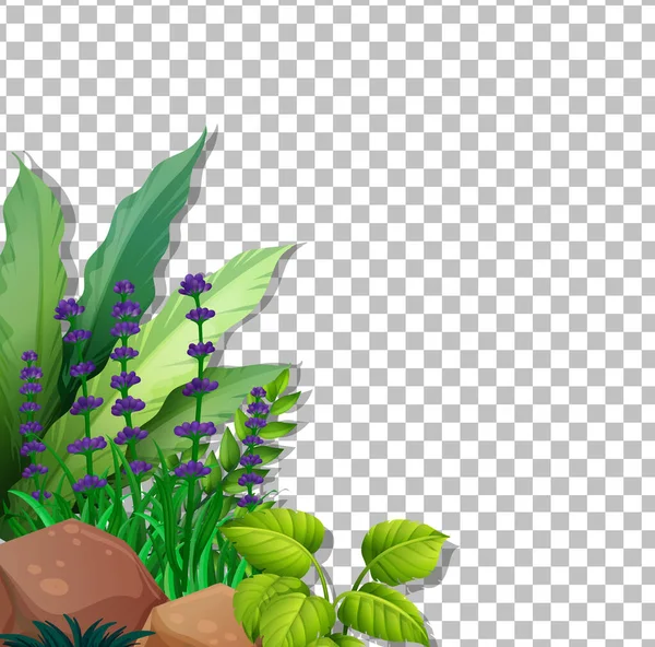 Paarse Bloemen Veld Transparante Achtergrond Illustratie — Stockvector