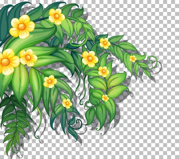 Fiori Tropicali Con Foglie Sfondo Trasparente Illustrazione Vettoriali Stock Royalty Free