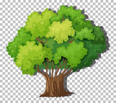 Şeffaf arkaplan resimlemesinde izole edilmiş bir ağaç