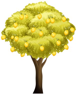 Beyaz arkaplan resimlerinde izole edilmiş limon ağacı