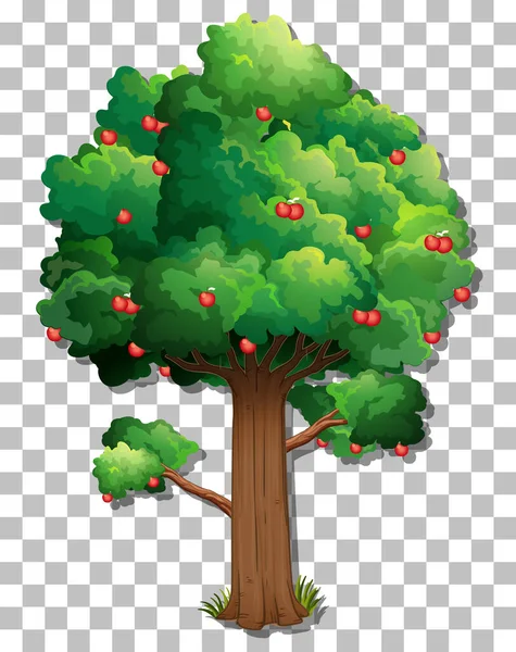 Apple Träd Transparent Bakgrund Illustration — Stock vektor