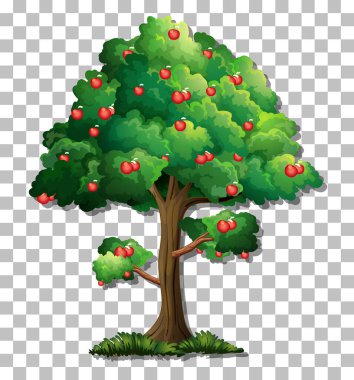 Şeffaf arkaplan illüstrasyonunda elma ağacı
