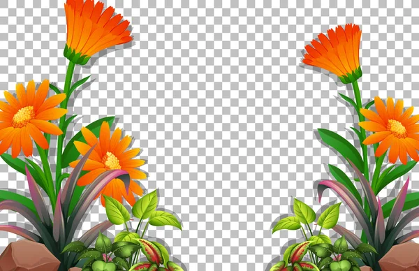 Bloemen Bladeren Frame Template Transparante Achtergrond Illustratie — Stockvector