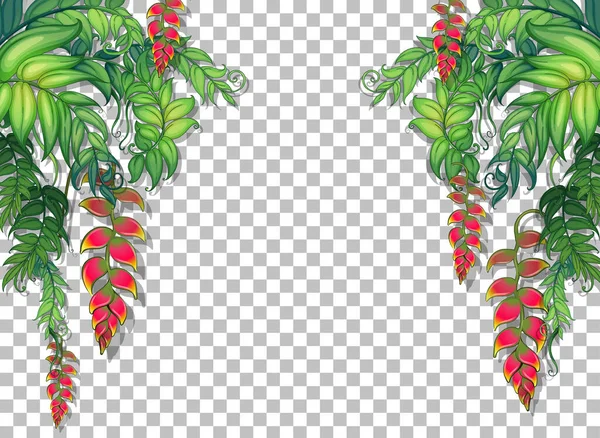 Tropiska Växter Och Blad Transparent Bakgrund Illustration — Stock vektor