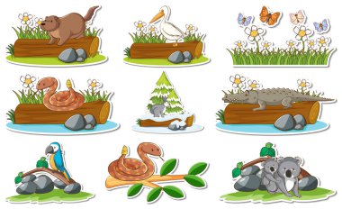 Farklı vahşi hayvanlar ve doğa elementlerinin resimleriyle etiketlenmiş.