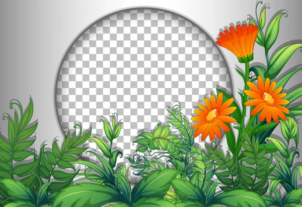Στρογγυλό Πλαίσιο Διαφανές Λουλούδι Και Φύλλα Πρότυπο Εικονογράφηση — Διανυσματικό Αρχείο