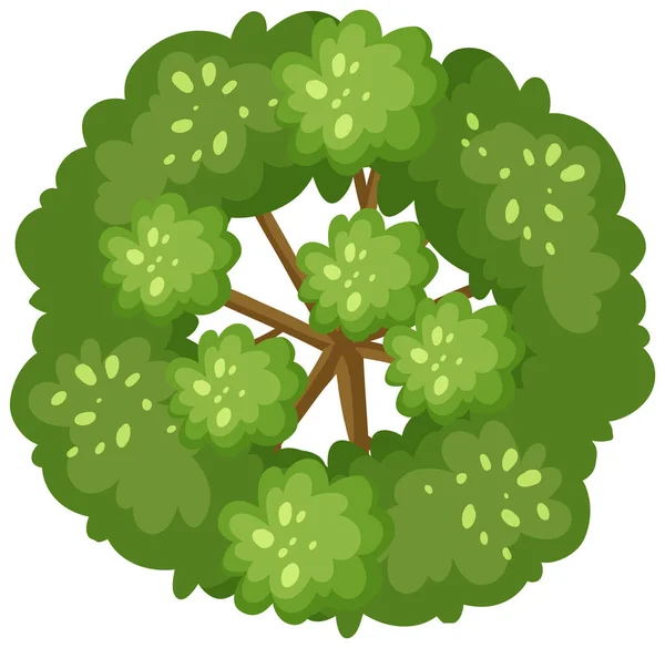 Vista Aérea Árbol Aislado Sobre Fondo Blanco Ilustración — Vector de stock