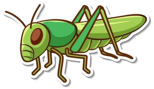 Sticker Design Green Grasshopper Isolated Illustration — Stock Vector